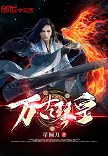 《万古琴皇》小说封面