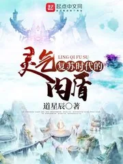 《灵气复苏时代的肉盾》小说封面