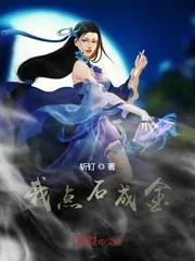 《我点石成金》小说封面