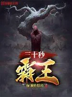 《三十秒霸王》小说封面