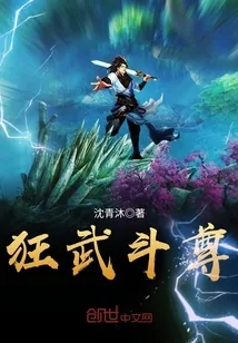 《狂武斗尊》小说封面