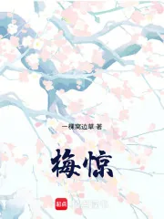 《梅惊》小说封面