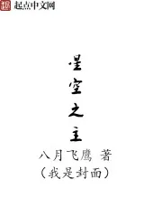 《星空之主》小说封面