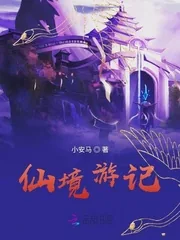 《仙境游记》小说封面