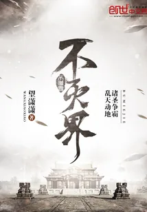 《不灭界》小说封面