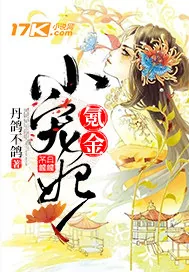 《氪金小宠妃》小说封面