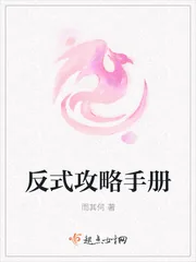 《反式攻略手册》小说封面