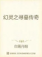 《幻灵之寻墓传奇》小说封面