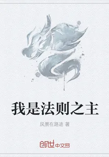 《我是法则之主》小说封面