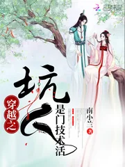 《穿越之坑人是门技术活》小说封面