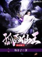 《孤雨仙王》小说封面