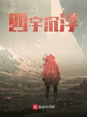 《四宇沉浮》小说封面