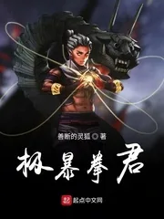 《极暴拳君》小说封面