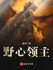 《野心领主》小说封面