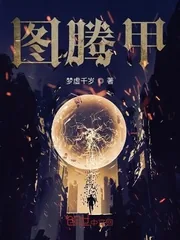《图腾甲》小说封面