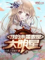 《我的未婚妻是大明星》小说封面