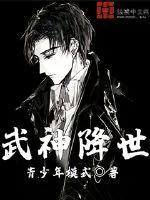 《武神降世》小说封面