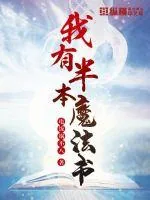 《我有半本魔法书》小说封面