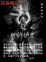 《蛇将护龙》小说封面
