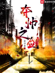 《夺帅之剑》小说封面