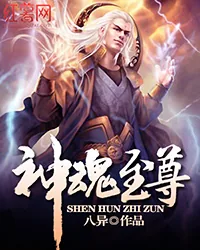 《神魂至尊》小说封面