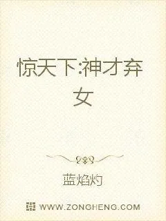 《惊天下之神才弃女》小说封面
