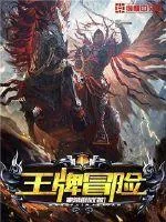 《王牌冒险》小说封面