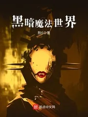 《黑暗魔法世界》小说封面