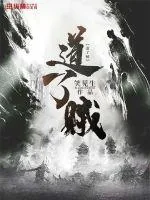 《道了贼》小说封面