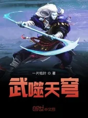 《武噬天穹》小说封面