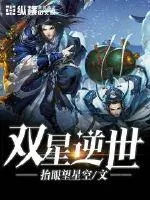 《双星逆世》小说封面
