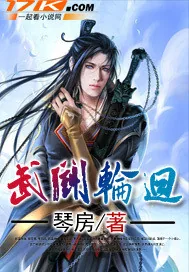 《武斗轮回》小说封面