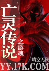 《亡灵传说之游魂》小说封面