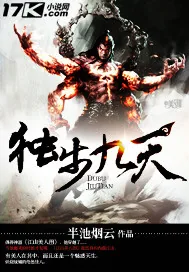 《独步九天》小说封面