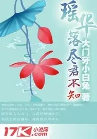 《瑶华落尽君不知》小说封面
