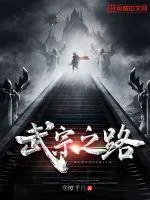 《武宗之路》小说封面