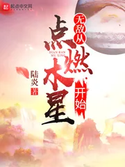 《无敌从点燃木星开始》小说封面