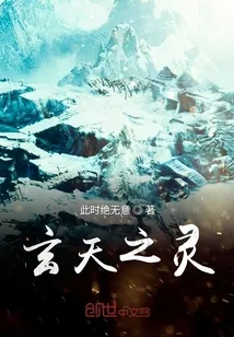 《玄天之灵》小说封面