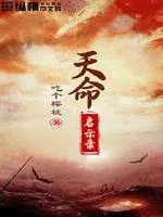 《天命启示录》小说封面