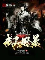 《武灵风暴》小说封面