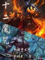 《十二魔咒》小说封面