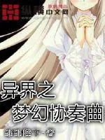 《异界之梦幻协奏曲》小说封面