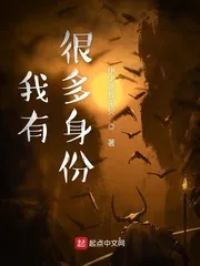 《我有很多身份》小说封面