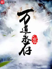 《万道永存》小说封面