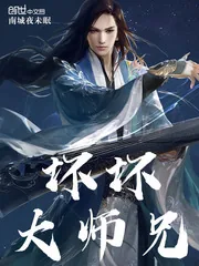 《坏坏大师兄》小说封面