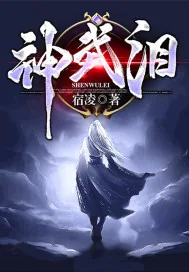 《神武泪》小说封面