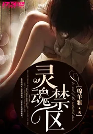 《灵魂禁区》小说封面