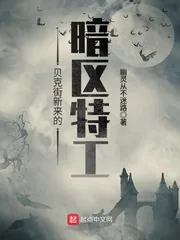 《贝克街新来的暗区特工》小说封面
