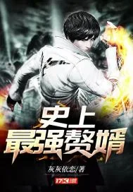 《史上最强赘婿》小说封面