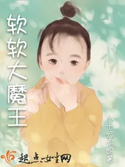 《软软大魔王》小说封面